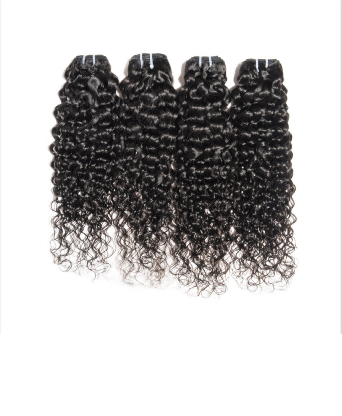 Burmese Curly bundle deal